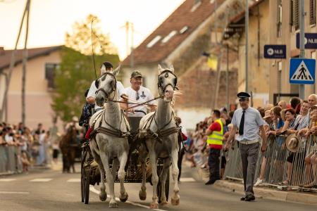 JERNEJEVO-POVORKA2024-235