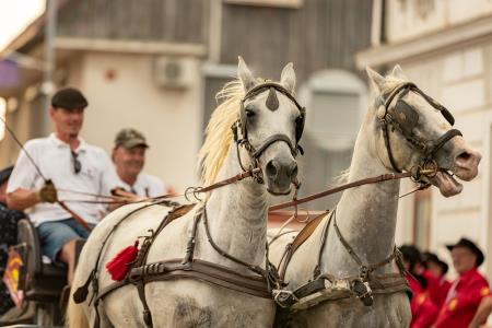 JERNEJEVO-POVORKA2024-236