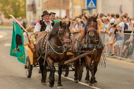JERNEJEVO-POVORKA2024-250