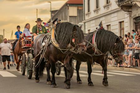 JERNEJEVO-POVORKA2024-261