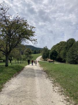 IMG_7453