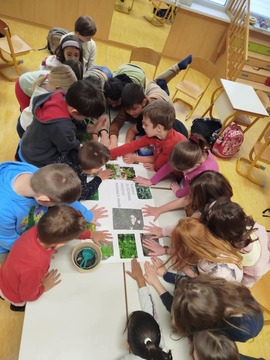 FB_IMG_1747124325112