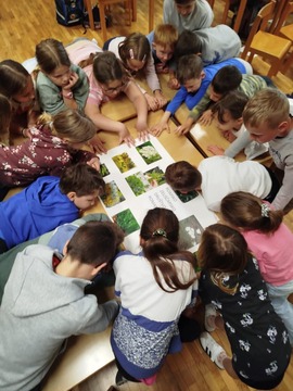 FB_IMG_1747124332345