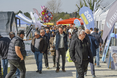 final_nedelja_manjše-17