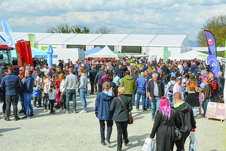 final_nedelja_manjše-126