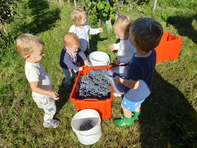 Resized_20250915_101613